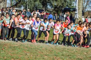 Départ des benjamines au cross Hubert André 2016 à Carmaux