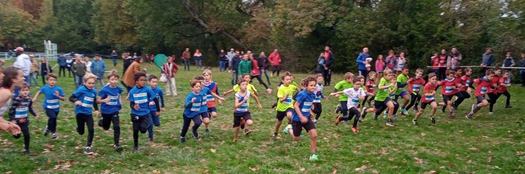 img 20251102 110211 931